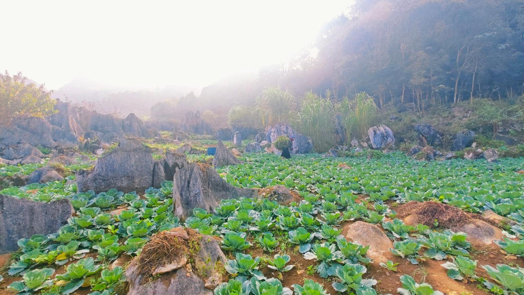 Nhà Cổ Lao Xa Homestay Hmong Dong Van (Ha Giang) Exterior foto